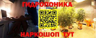 гашик Апрелевка