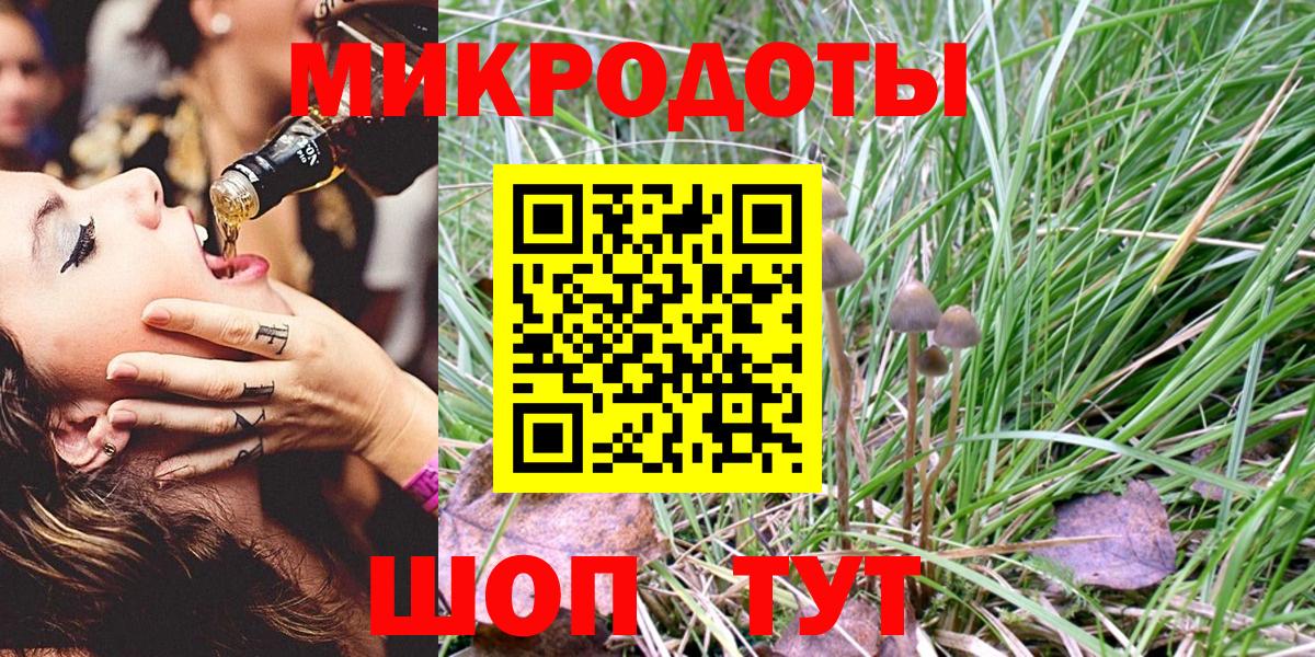 Псилоцибиновые грибы Cubensis Белово