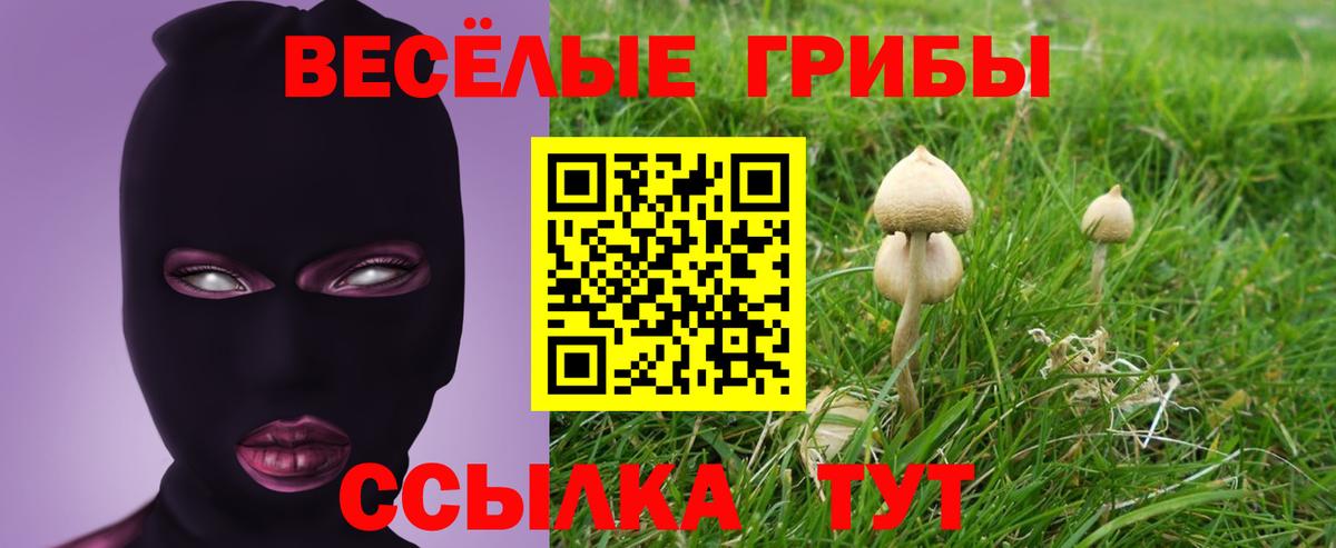 Галлюциногенные грибы ЛСД  Вход с VPN  Белово  Псилоцибиновые грибы GOLDEN TEACHER 